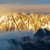 金山的头像