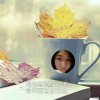 <div class=