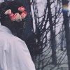 拂尘ღ᭄ꦿ的头像