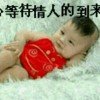 雪飘逸的头像