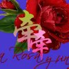 网络情缘的头像