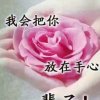 真爱永恒的头像