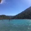 清清浮萍的头像