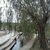 学习的头像