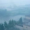 LLYD雨声的头像