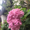 。。。的头像