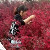浮云的头像