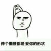 十五十五的头像