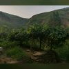 AA治国的头像