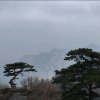 简单幸福的头像