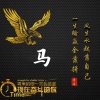 会飞的马的头像