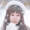 燕子的头像