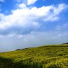 :)玲听（停唱）的头像