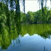 程敏的头像