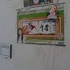 好心情的头像