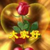 永远的思念的头像