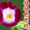 开开心心的头像