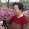 波的头像