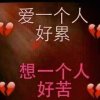 亦幻的头像