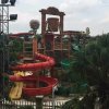 凤的头像