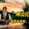 文竹的头像