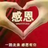 忆苦思甜(不送礼)的头像