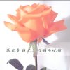 朵枕上书22的头像