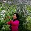 ♚梵呗山里红的头像