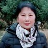 枫叶的头像