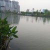我在的头像