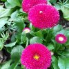春暖花开的头像