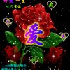 梅人生快乐 (12群)的头像