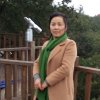若风的头像