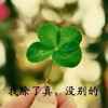 戎烟戎酒不戎你的头像