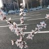 赵九儿(忙)的头像