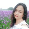 含笑花秀丽（迟回，见谅）的头像