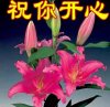 我别无所求一生平安！的头像
