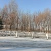 水碧天蓝的头像