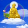 平安的头像
