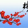 喧研胡吼瞎嗨，图个开心的头像