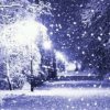 雪夜阳光的头像