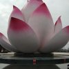 老陈的头像