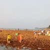 英子 《永泰昌印刷纸品厂》的头像