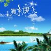 清凉一夏的头像