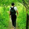 再见了的头像