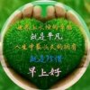 一生平安的头像