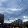 一颗困兽的头像