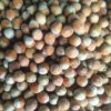  惜缘 不听勿评的头像