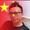 飞扬的头像