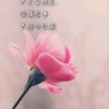 情缘的头像